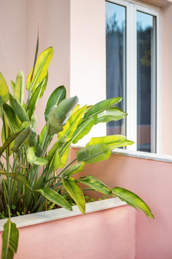Aphrodite Studios & Apartment Bali  Exterior foto